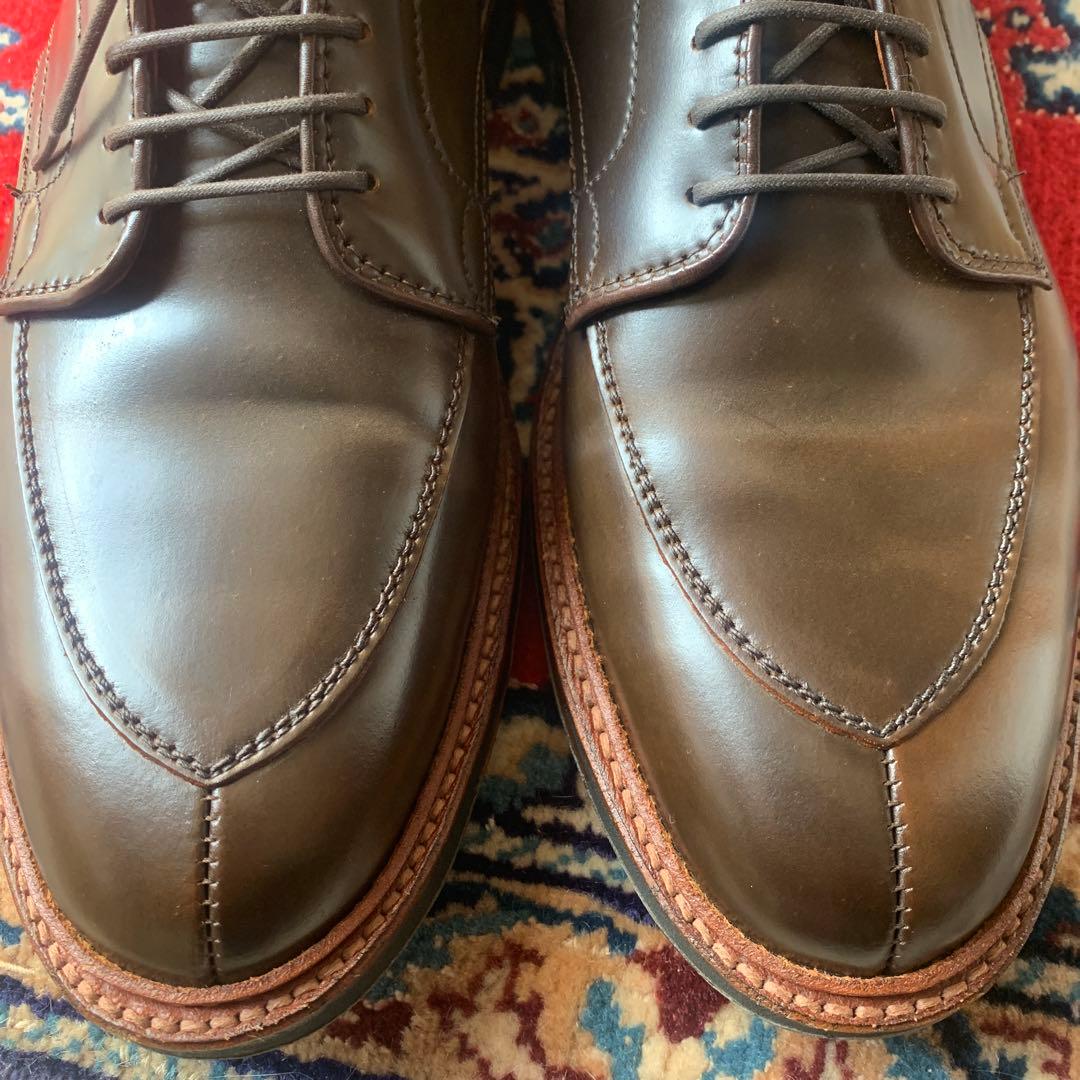 Dblueオールデン　Aledn シガー　コードバン9.5D D1660C