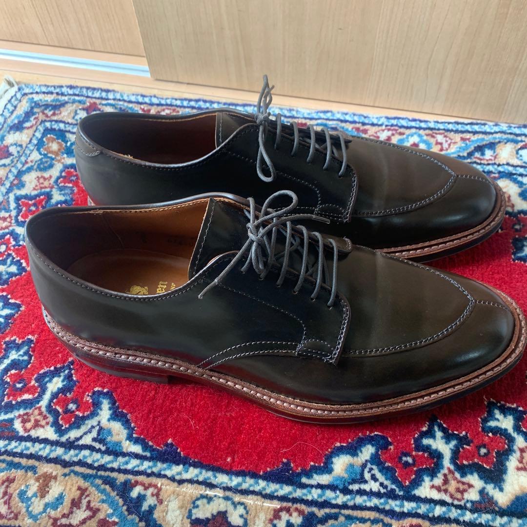 Dblueオールデン　Aledn シガー　コードバン9.5D D1660C