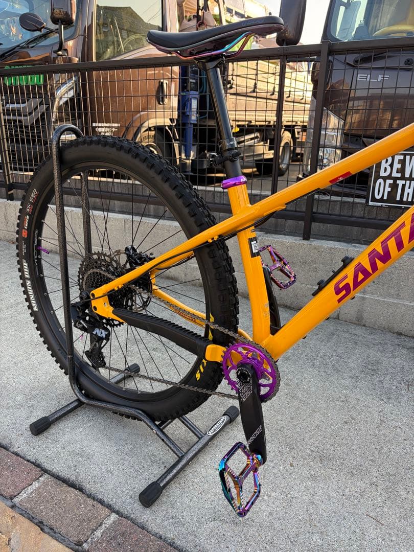 ① SANTA CRUZ chameleon カメレオン　サンタクルーズ　極美品