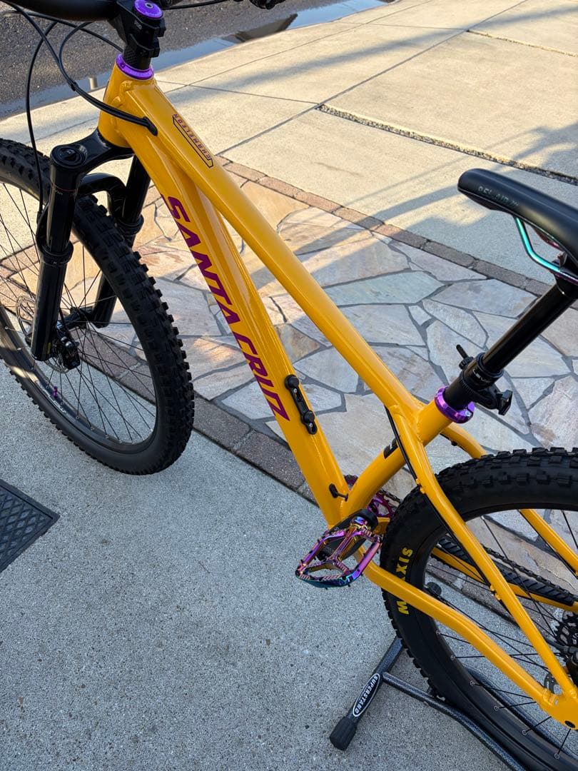 ① SANTA CRUZ chameleon カメレオン　サンタクルーズ　極美品