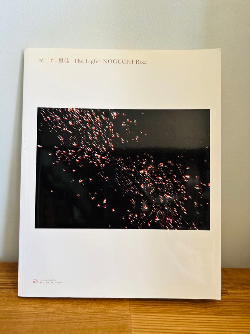 美品　光・野口理佳 The Light 写真集　希少