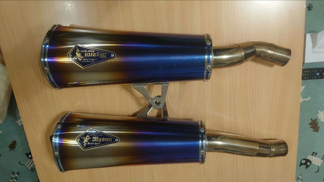 こばやんさん専用　r’s gear アールズギア ninja1000 ワイバン