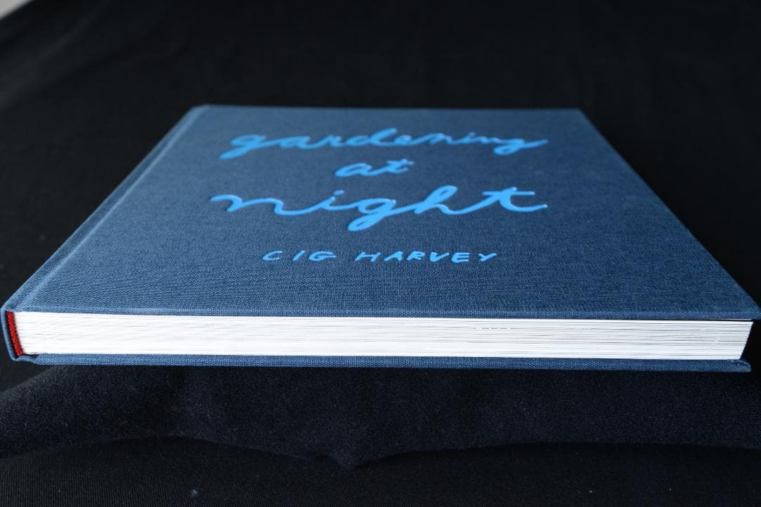 【 Cig Harvey ：Gardening at Night】新品・美本