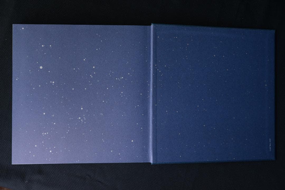 【 Cig Harvey ：Gardening at Night】新品・美本