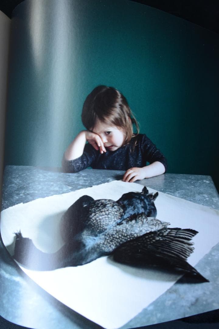 【 Cig Harvey ：Gardening at Night】新品・美本