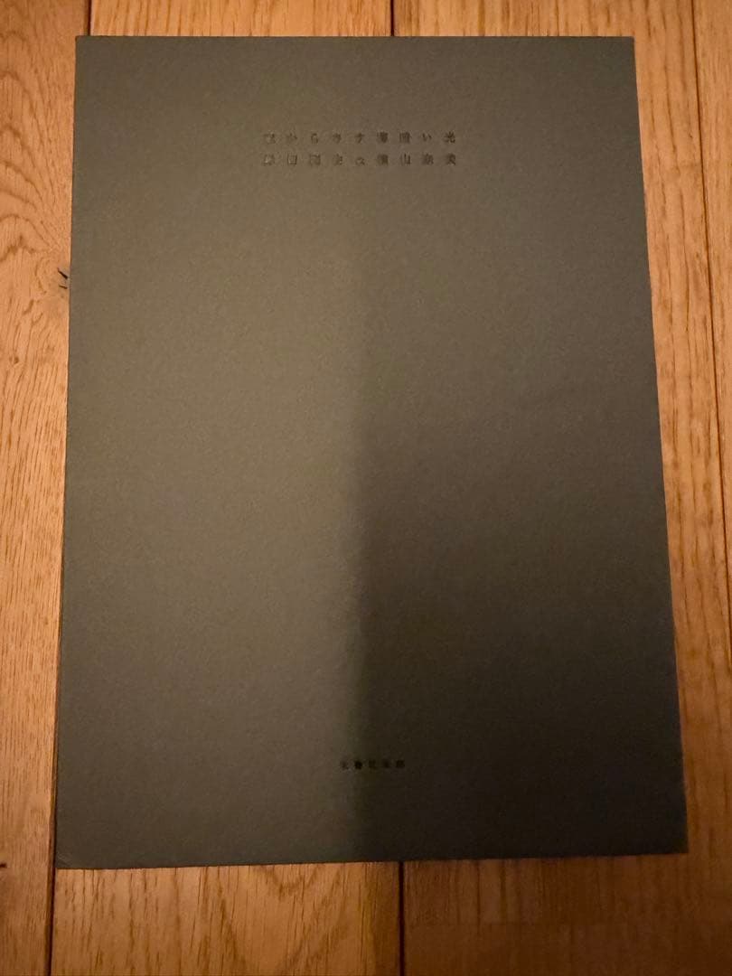 窓からさす薄暗い光　岸田劉生&横山奈美