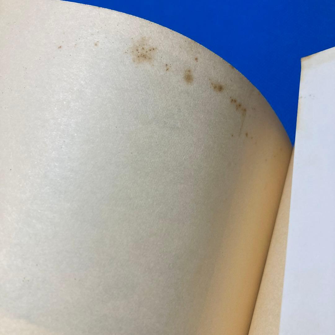 希少☆藤本憲幸　『並の人生でありたくない』