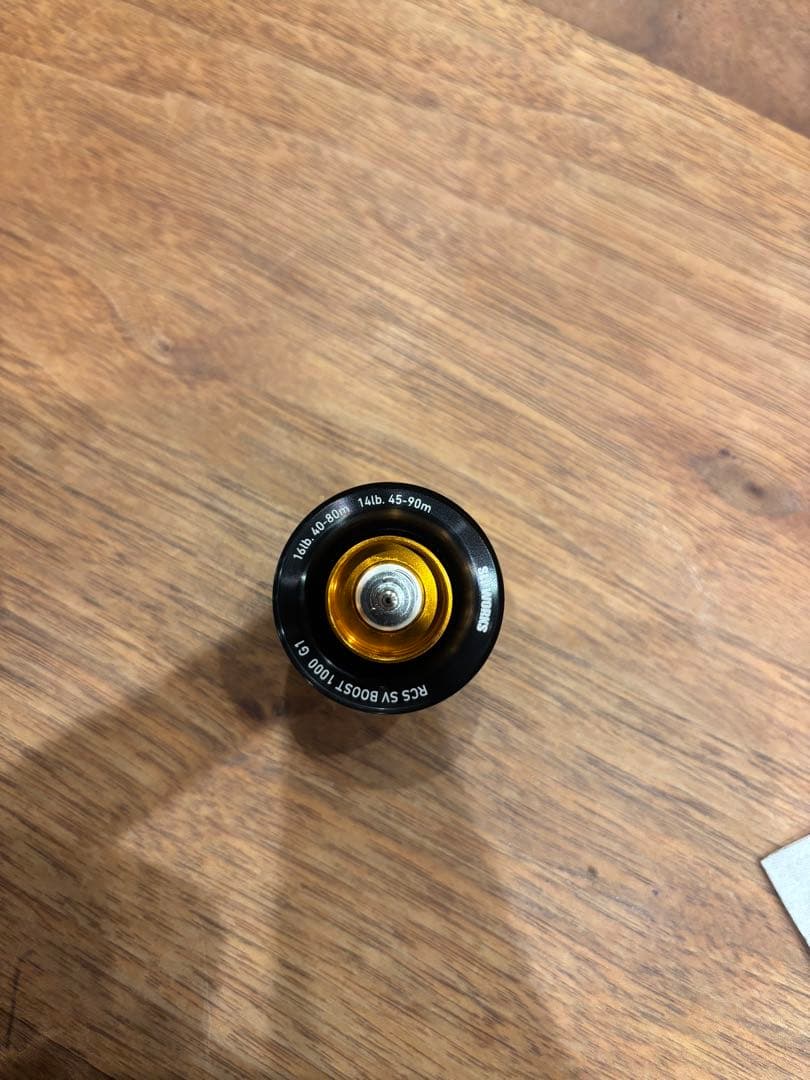 DAIWA 23 STEEZ A Ⅱ TW 1000XH SV BOOST