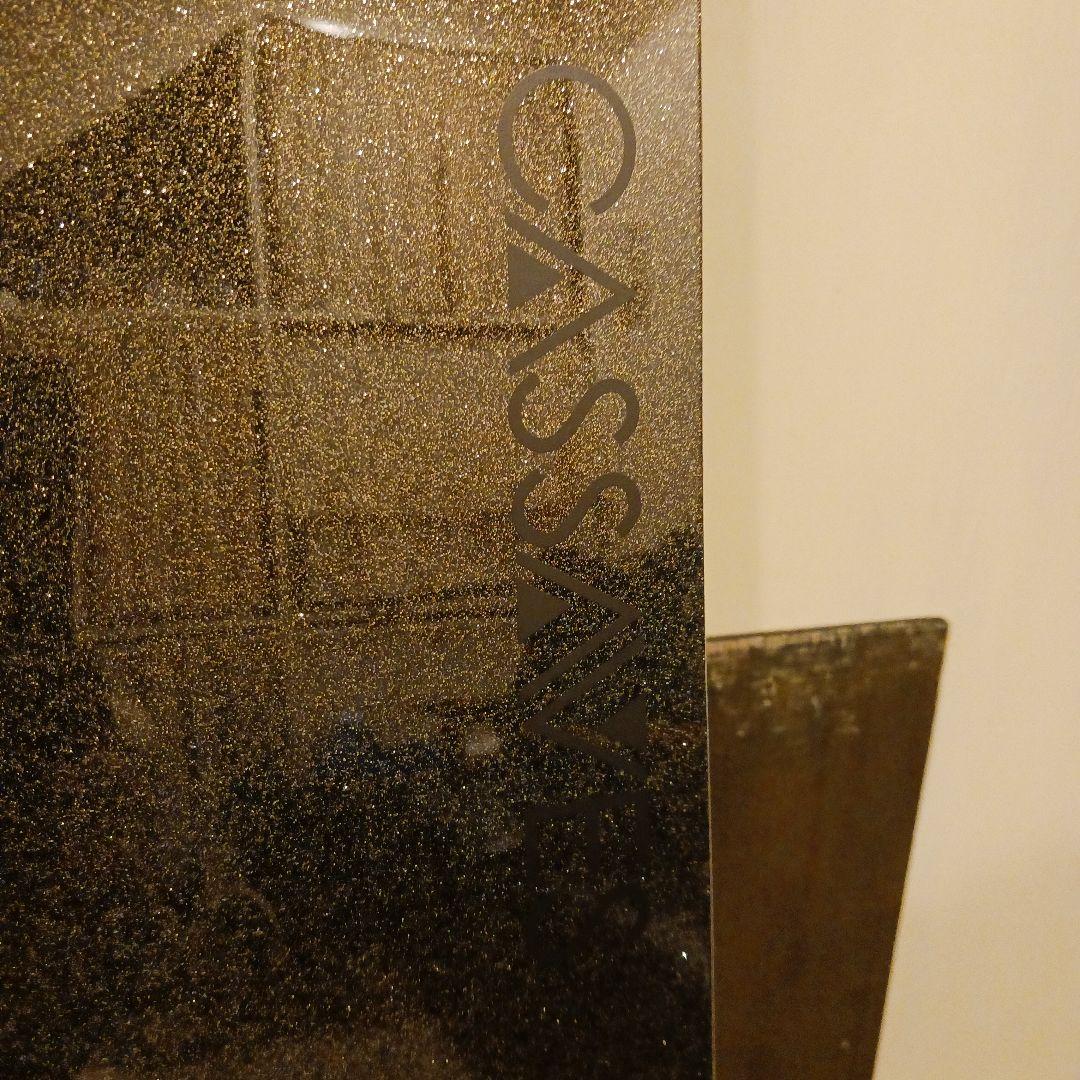 CASSAVES オガサカ　 スピードクルーザー　158.5　早い者勝ち