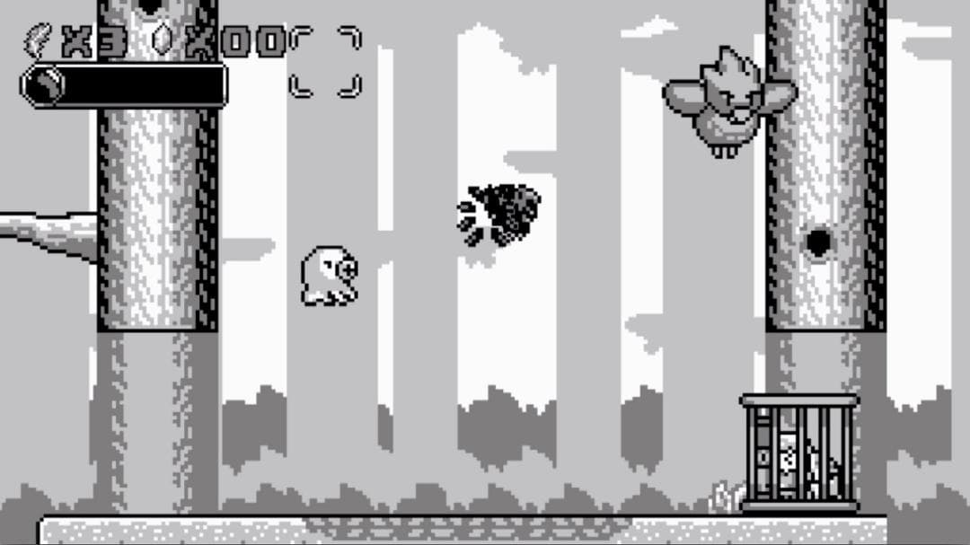 新品 Save me Mr Tako 助けてタコさん 決定版 日本語表示