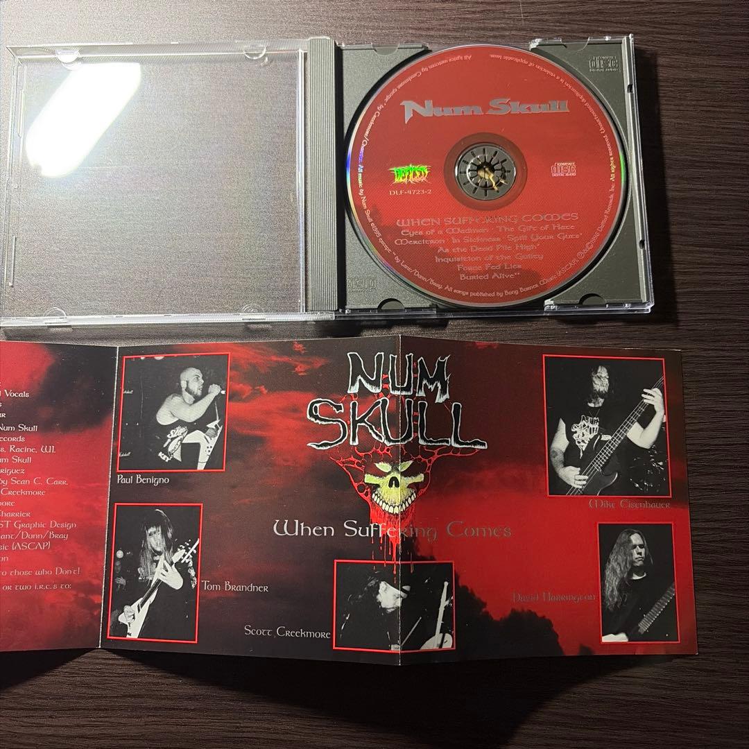 洋楽 Num skull/when suffering comes