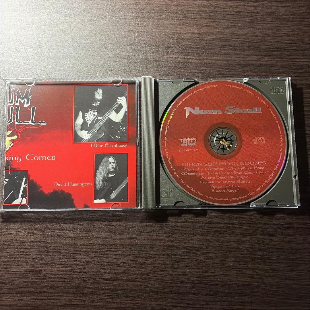 洋楽 Num skull/when suffering comes