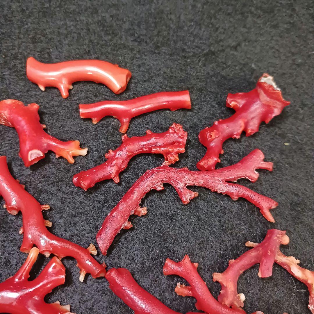 赤珊瑚 原木 枝 16点 総重量99.2g　ね