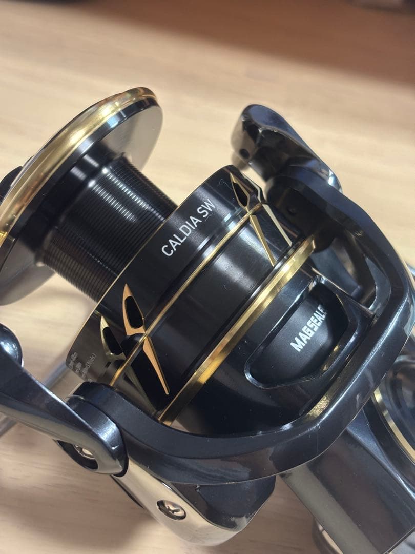 ダイワ CALDIA カルディア SW 10000 P