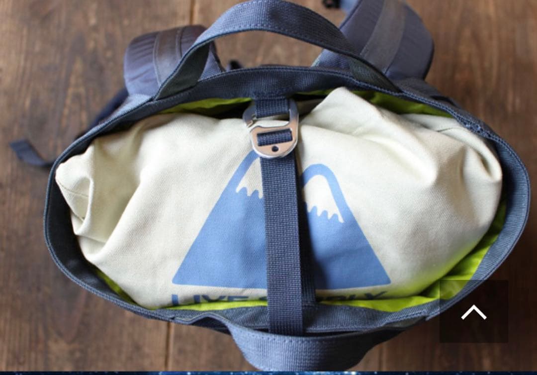 ⭐︎Patagonia⭐︎パタゴニア リンクドパック 28L