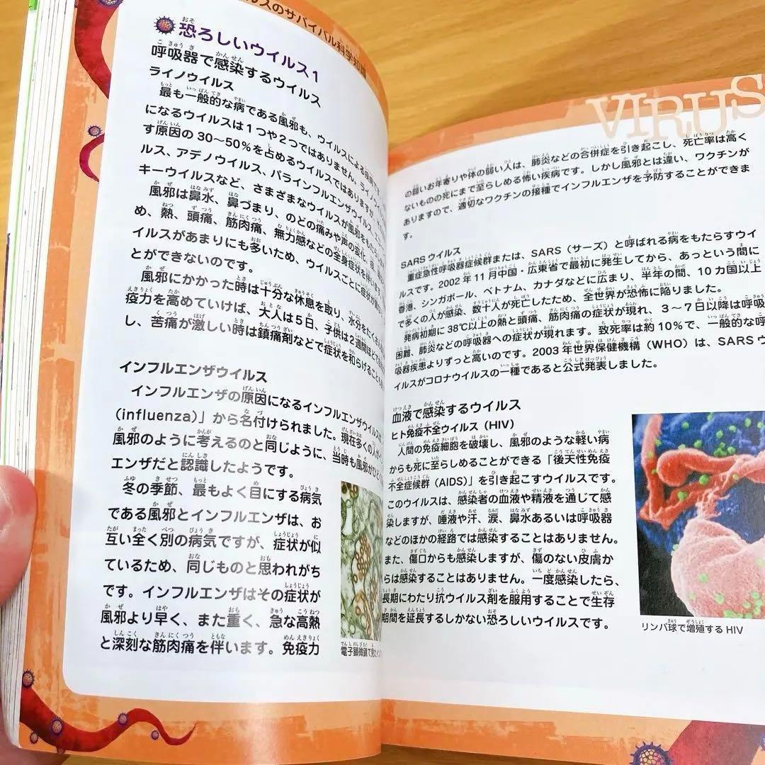 サバイバルシリーズ　25冊セット　かがくる