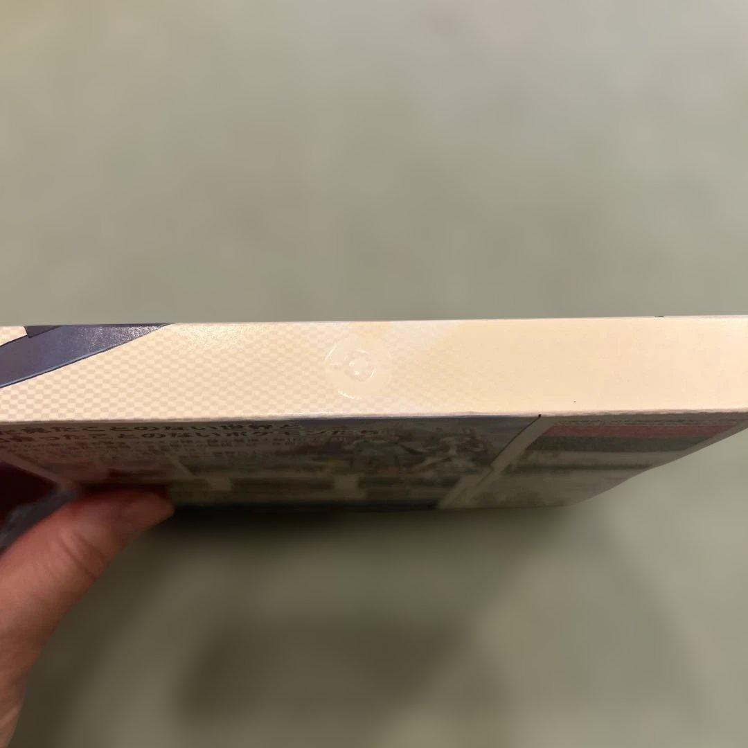 Nintendo DS ポケットモンスター ホワイト