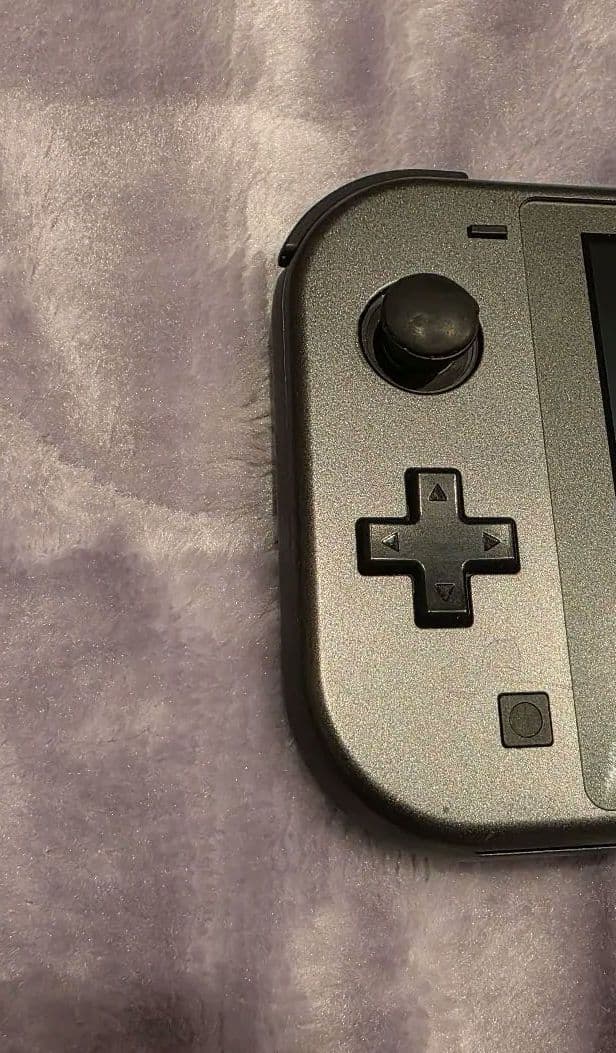 Switchライト ディアルガ・パルキア