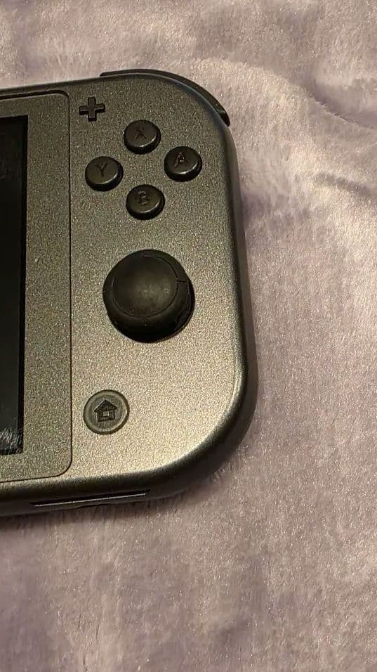 Switchライト ディアルガ・パルキア