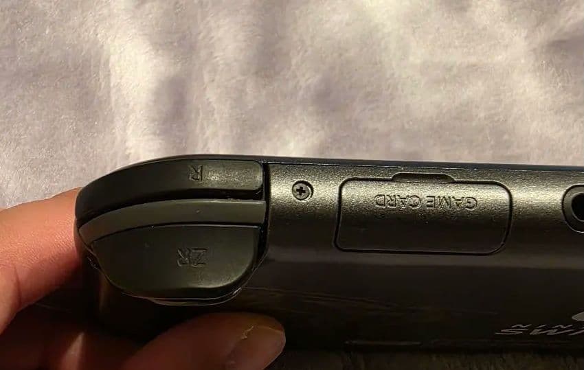 Switchライト ディアルガ・パルキア