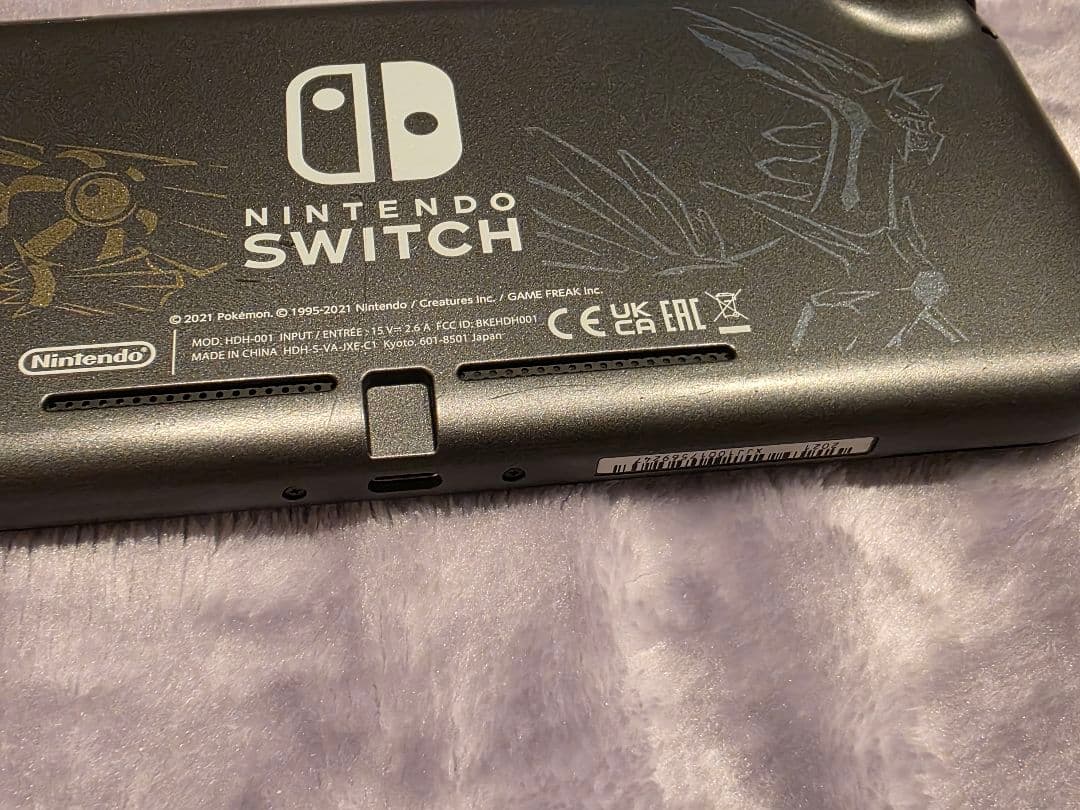 Switchライト ディアルガ・パルキア