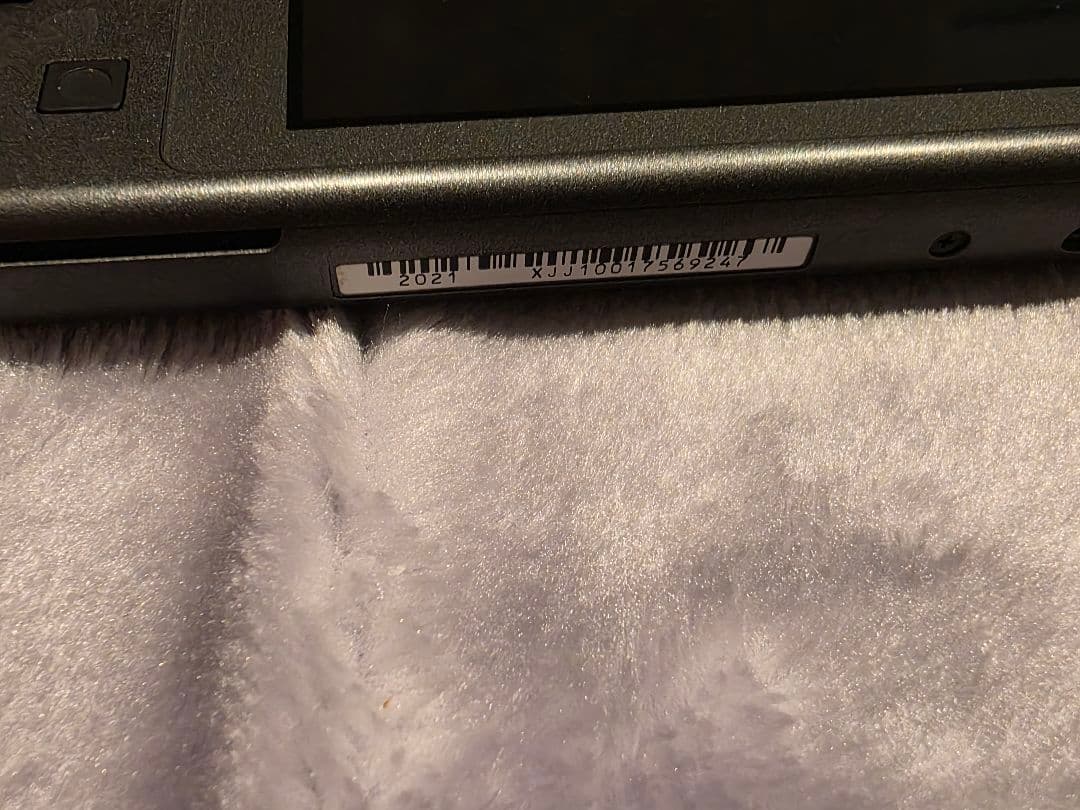 Switchライト ディアルガ・パルキア