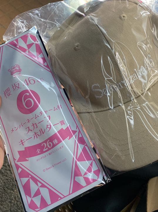 初回限定!欅坂46東京ドーム欅共和国セットおまけ沢山！！