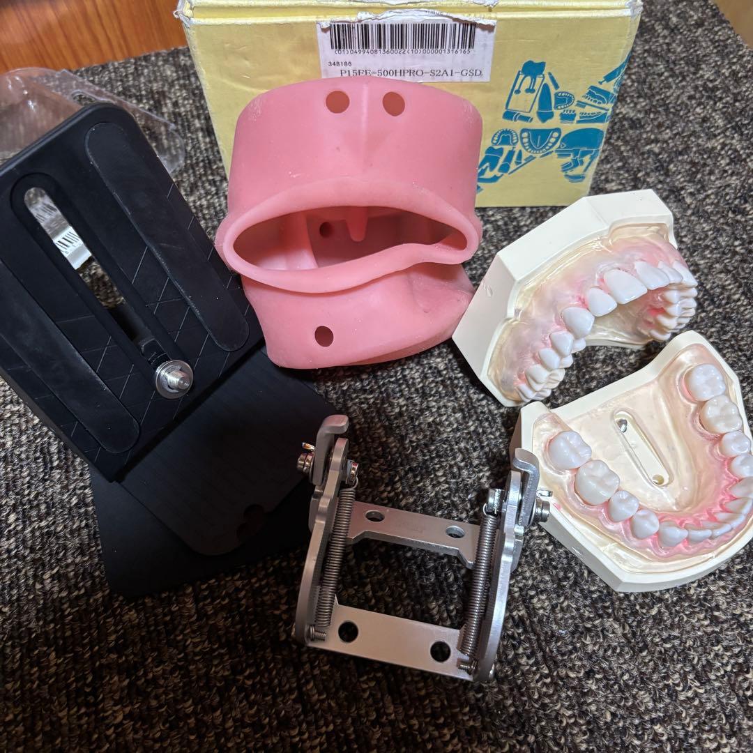 歯科 顎模型 頬粘膜 固定台セット ドライバー付き