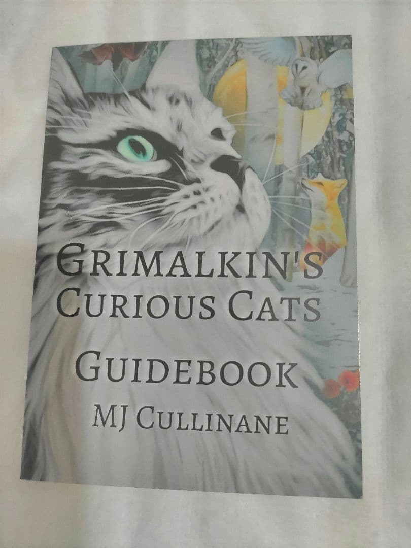 Y’s garden☆日本未入荷✨新品未使用✨正規品✨猫タロット✨1点のみ