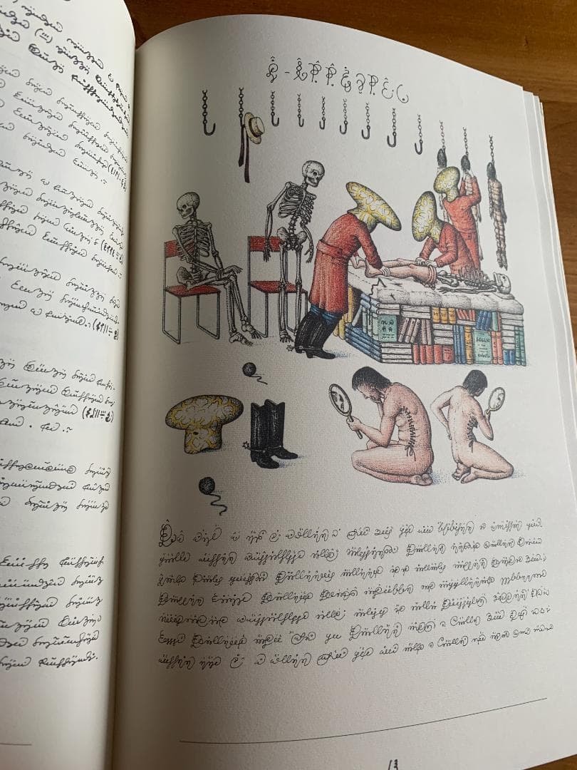C*N様 Codex Seraphinianus 新しく特別な版