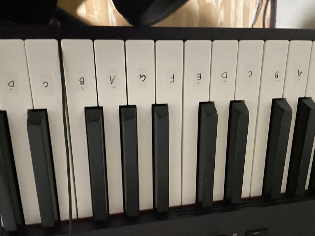 CASIO 88鍵盤 電子ピアノ