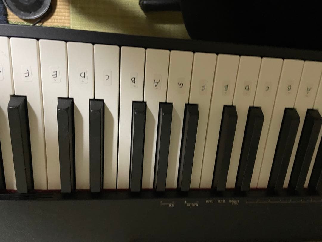 CASIO 88鍵盤 電子ピアノ