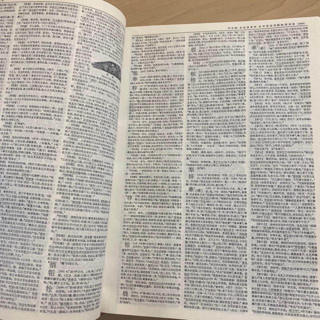 中国語研究　漢語大詞典セット