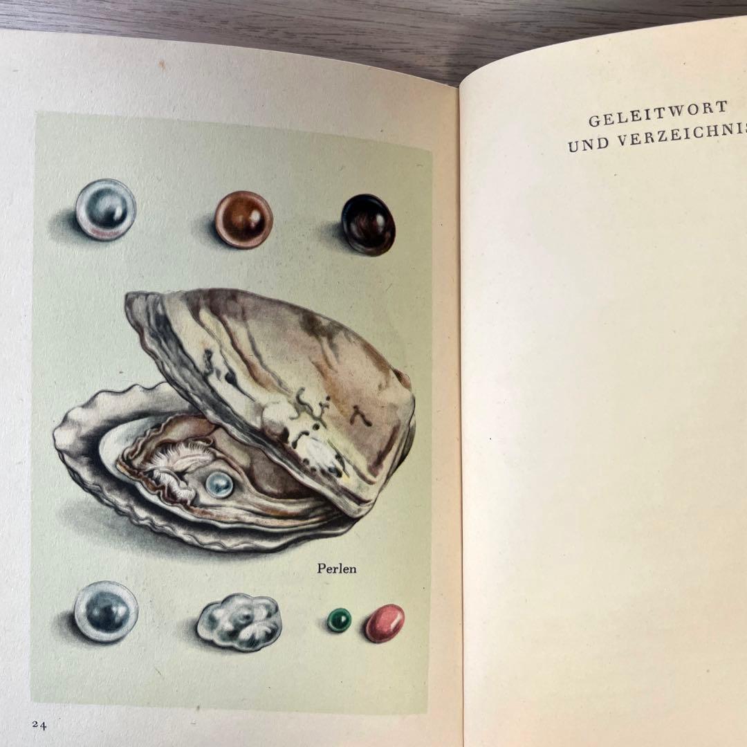 インゼル文庫　54 ドイツ 洋書 小さな鉱物の本　宝石