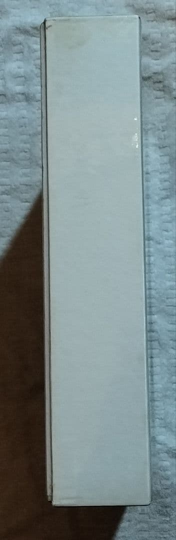 2*0様 訳あり品　SMILE THE BEACH BOYS SESSIONS