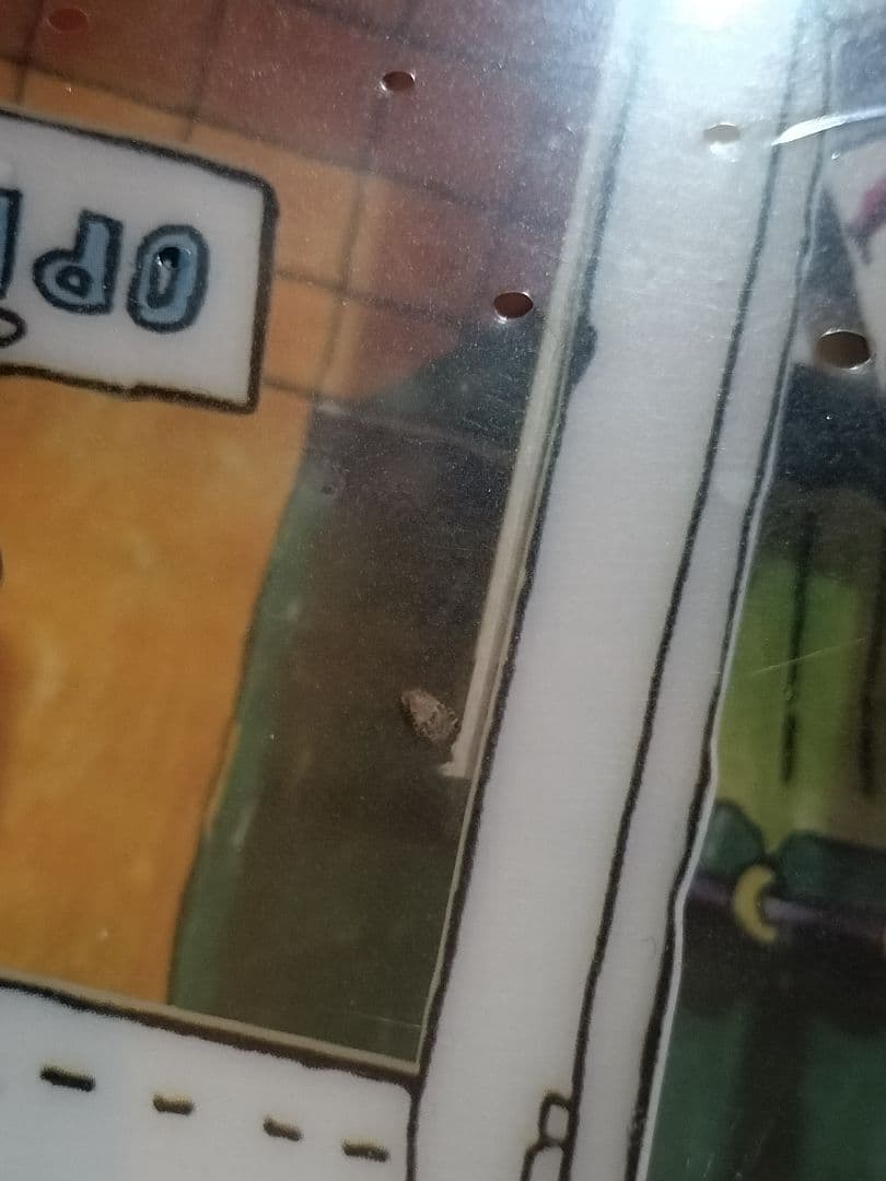 2*0様 訳あり品　SMILE THE BEACH BOYS SESSIONS