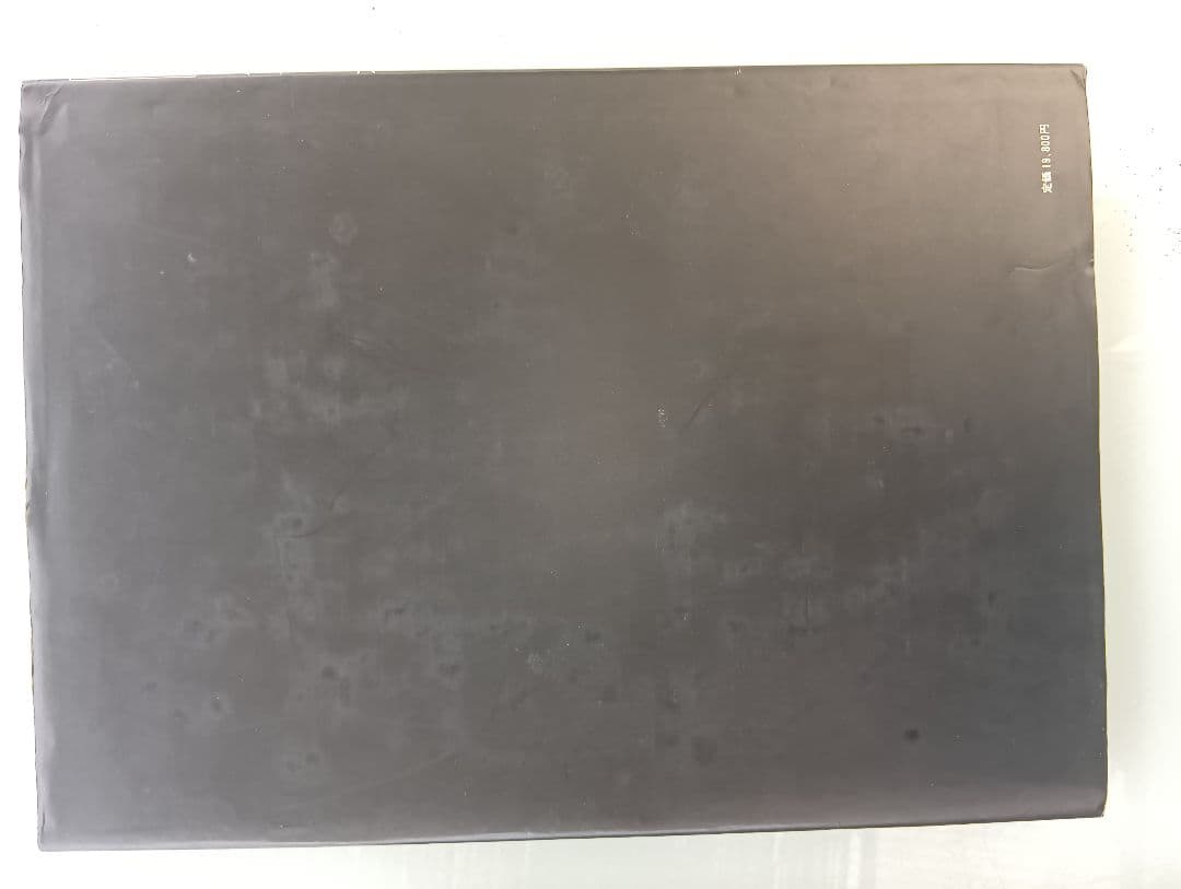 日本刺青芸術 彫芳 第2巻　入墨　刺青