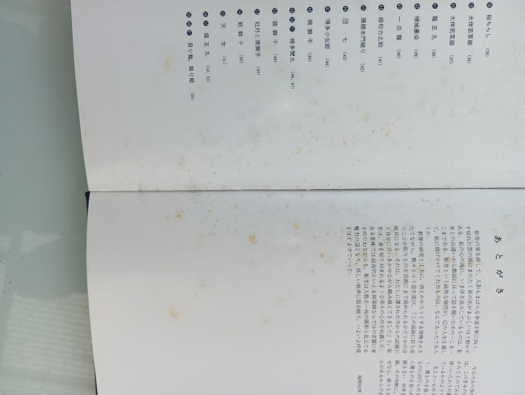 日本刺青芸術 彫芳 第2巻　入墨　刺青