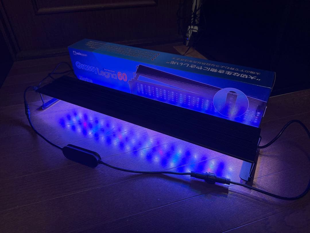 今だけ11.500円、値下げなしGrassyLegna 60 Marine