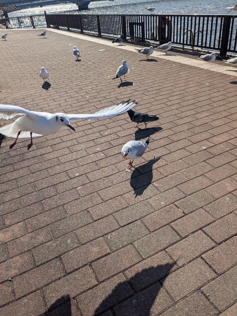 【九尾お買い得セット！】タイのお守りプラクルアン！