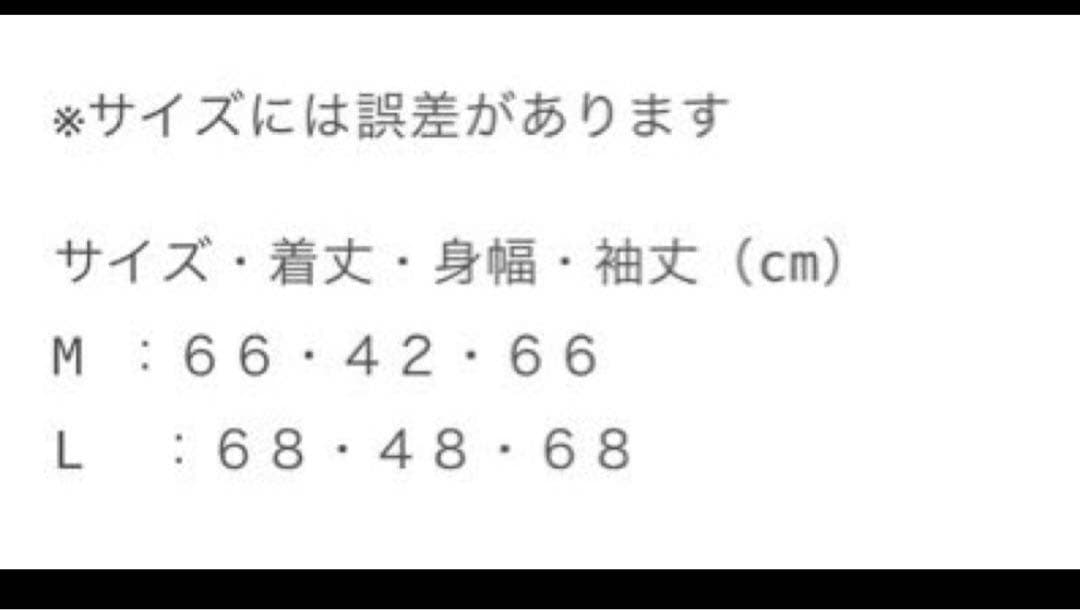 Vallad V.HENRY NECK L/S サーマル WHITE io着用