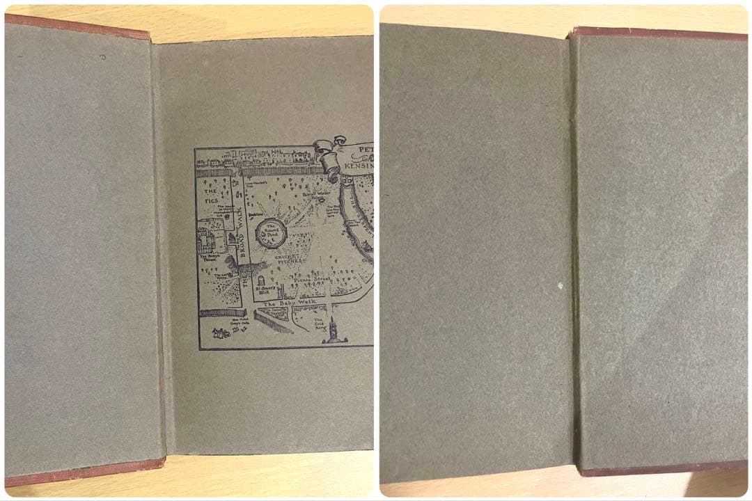 No.304希少 古書 アンティーク 洋書 アーサー·ラッカム ピーター・パン