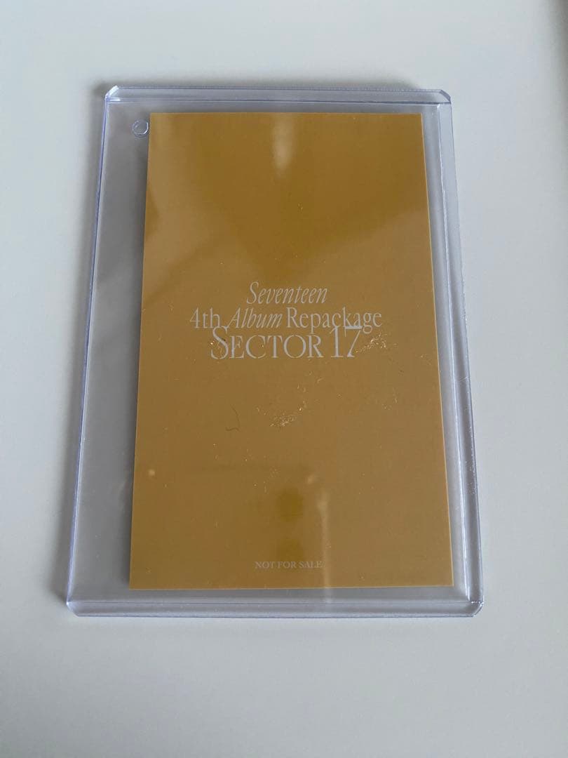 SEVENTEEN JUN sector17 ラキドロ