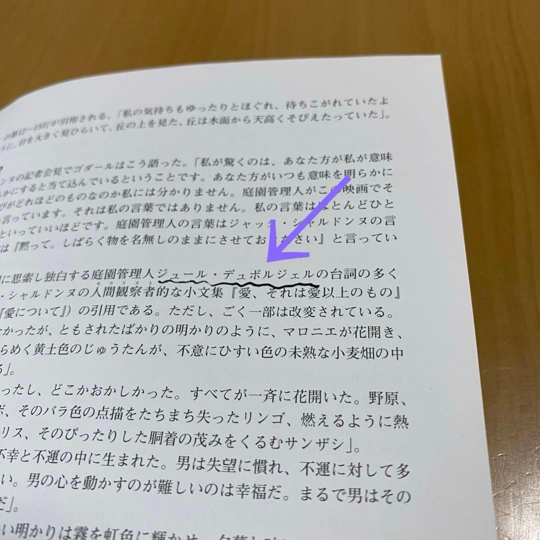 ヌーヴェルヴァーグ アランドロン主演 DVD