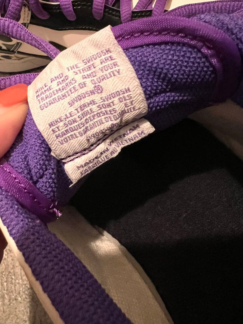 [美品・レア] NIKE 24.5cm DUNK LOW ナイキ 2009年限定