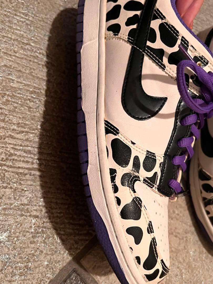 [美品・レア] NIKE 24.5cm DUNK LOW ナイキ 2009年限定