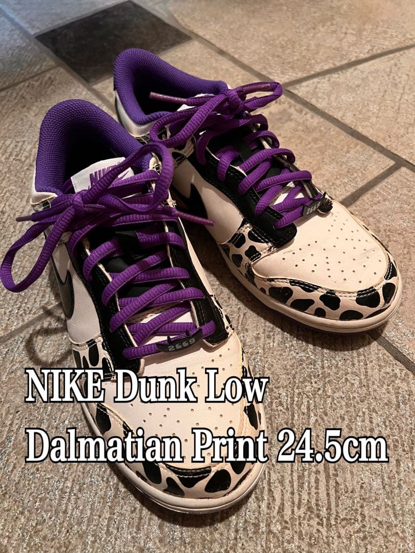 [美品・レア] NIKE 24.5cm DUNK LOW ナイキ 2009年限定