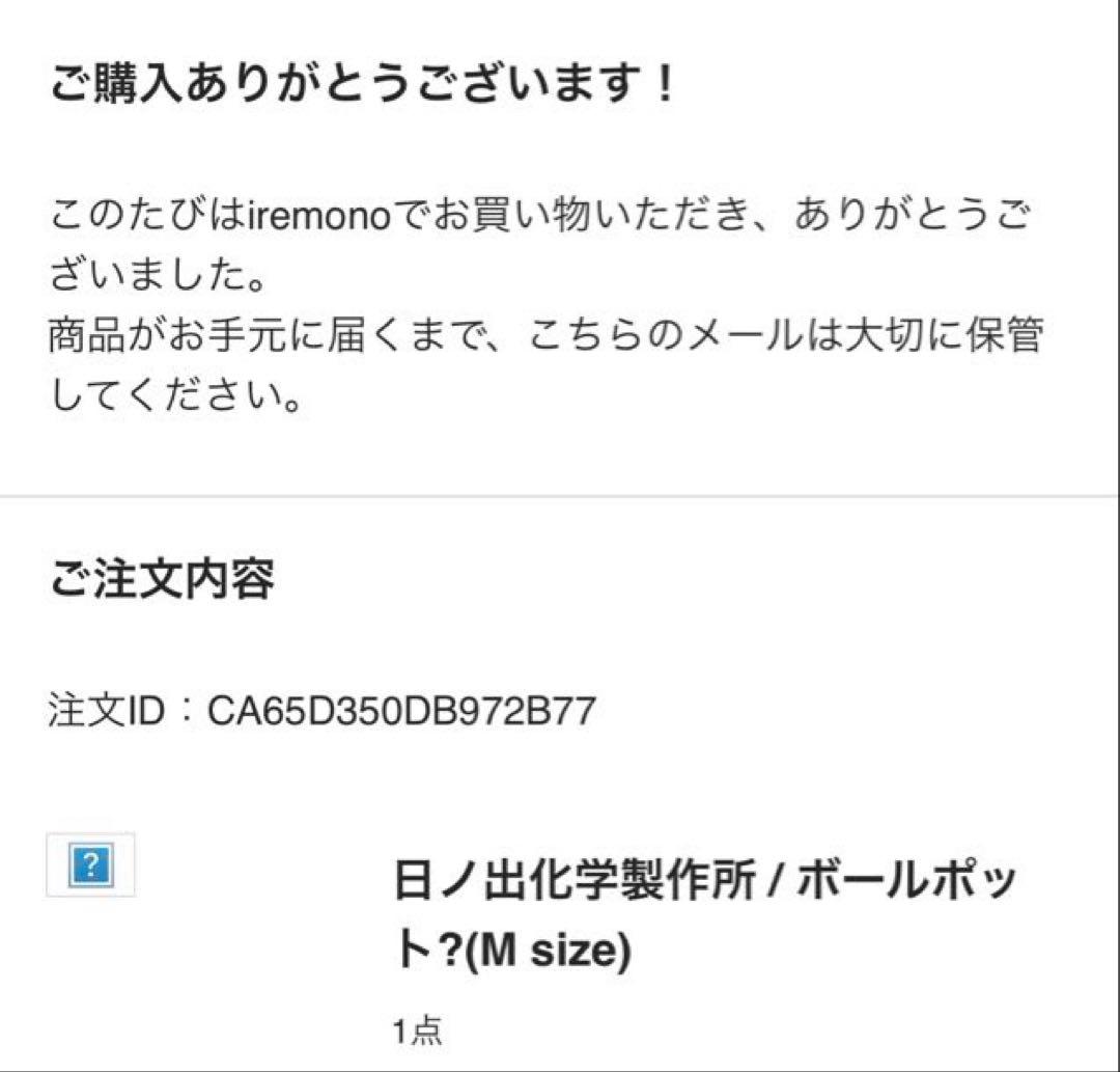 日ノ出化学製作所 ガラスポット 取手2種類付 Mサイズ