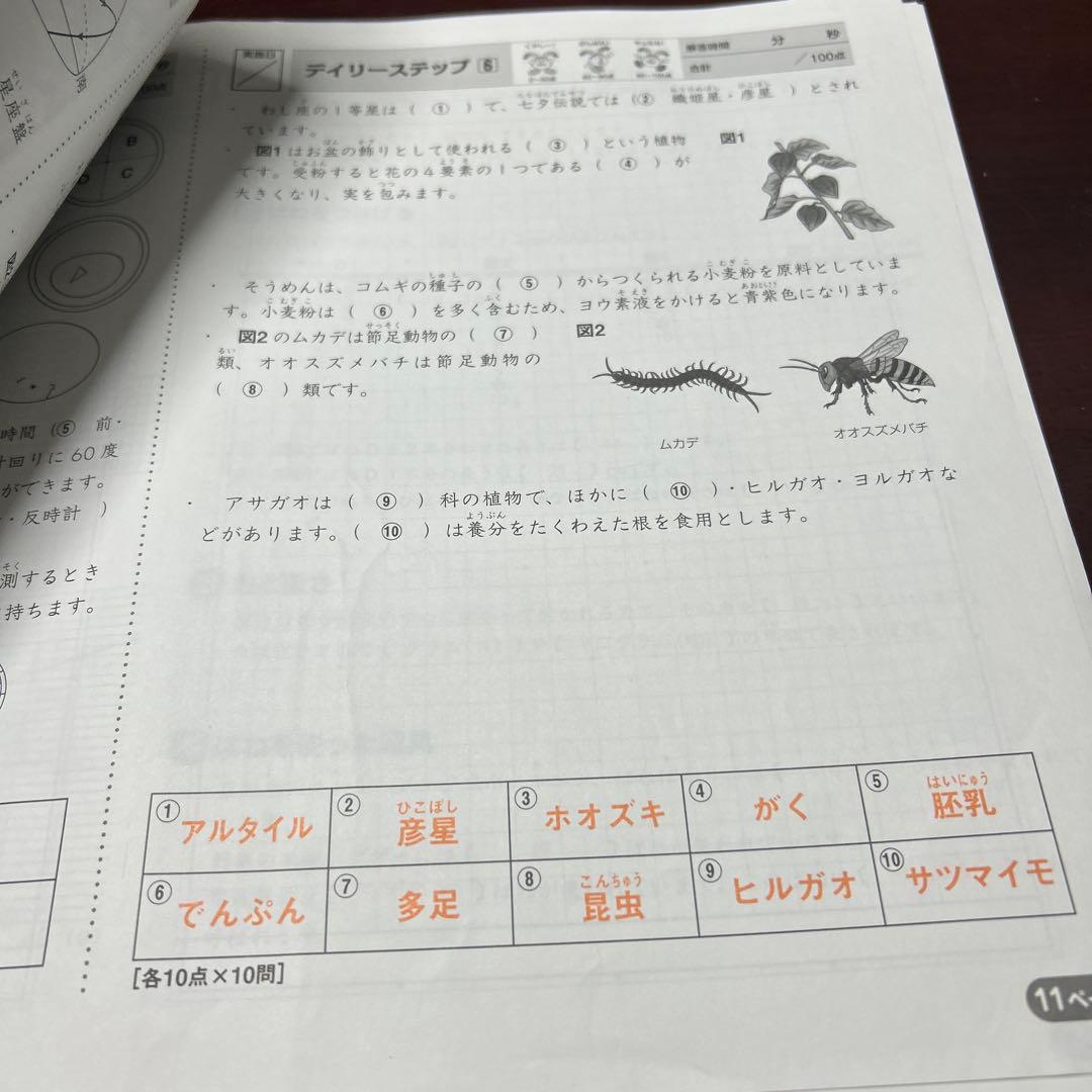 ああ　サピックス　SAPIX 4年　理科　重要暗記教材‼️一年分フルセット　希少