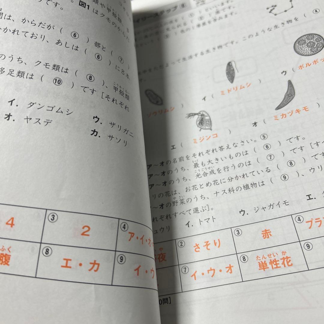 ああ　サピックス　SAPIX 4年　理科　重要暗記教材‼️一年分フルセット　希少